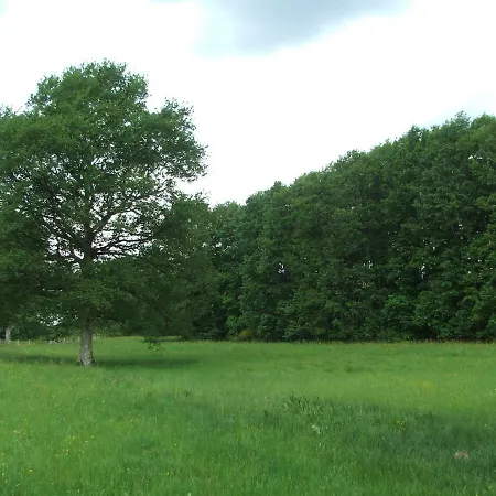 Les Chenes Verts